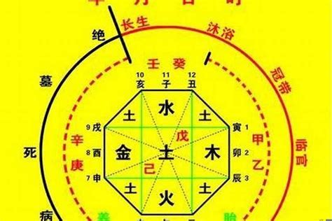 怎麼看喜用神|八字喜用神查詢